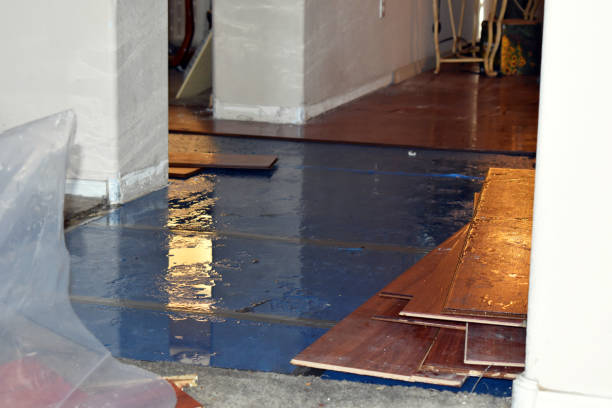 Professional Burst Pipe Cleanup technician working in Parkman, OH