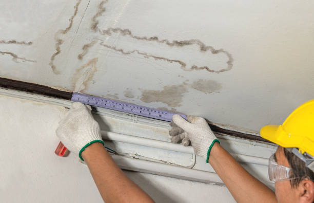 Reliable Burst Pipe Cleanup contractor in Parkman, OH by Water Damage Irwin